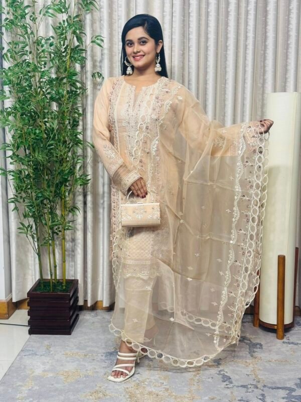 Pakistani Three Piece - Image 2