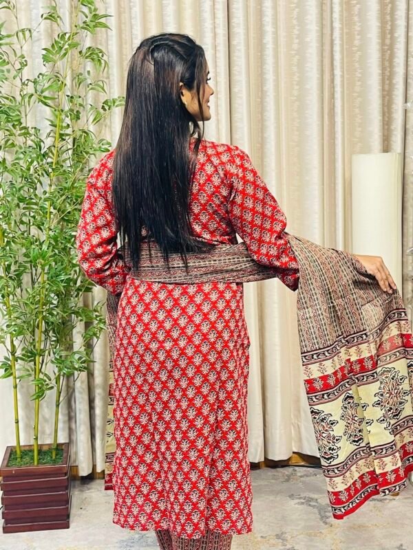 Shadabahar Three Piece - Image 3